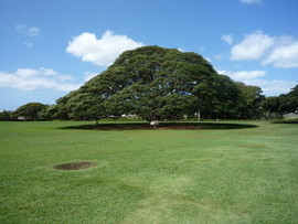 Moanalua Garden