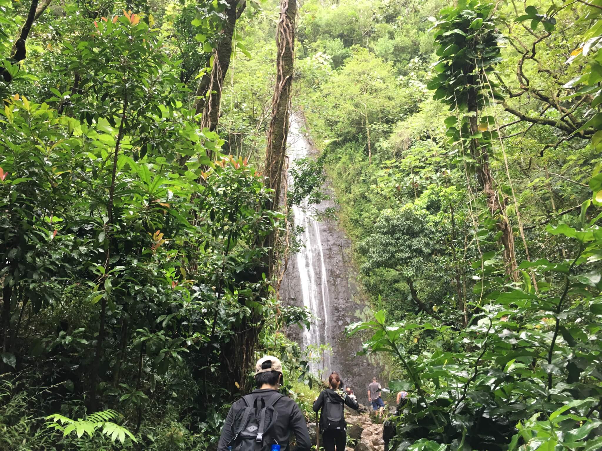 マノアの滝とピンクピルボックス NobbyLand Hawaii