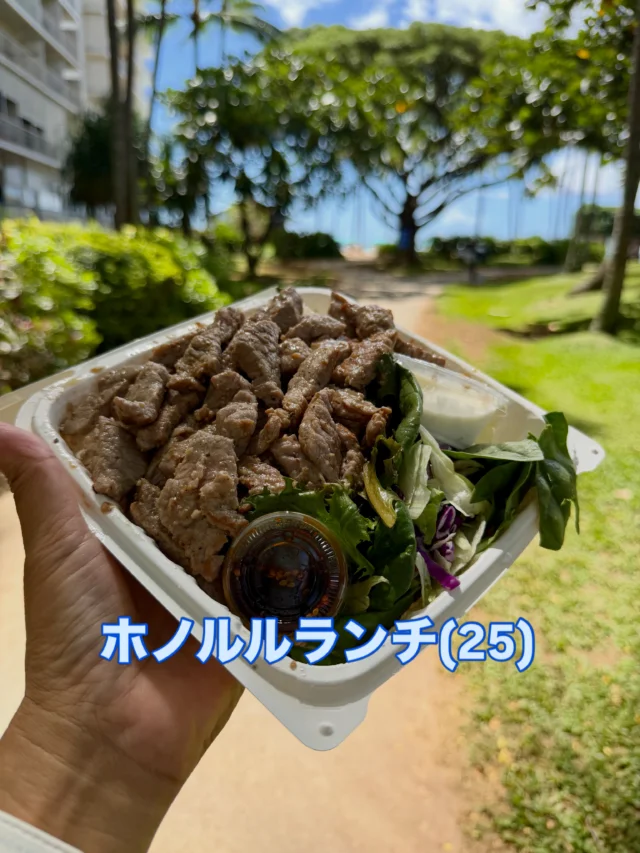 ハワイのナンバープレート はレインボー - NobbyLand Hawaii